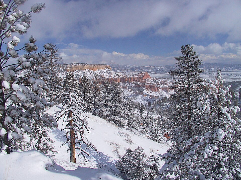 Bryce Canyon Half Marathon