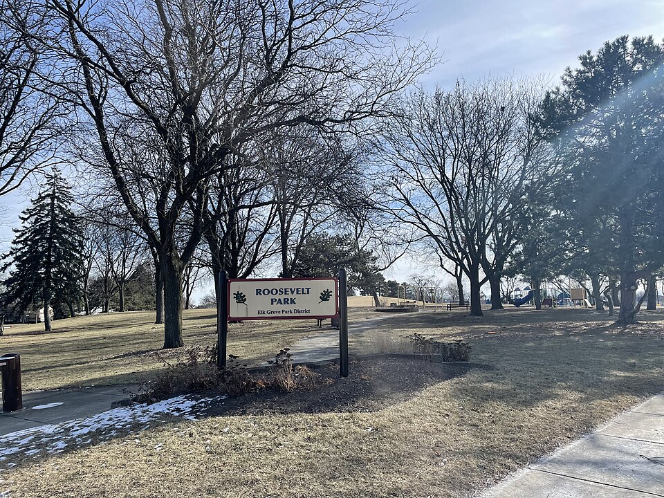 Schaumburg Turkey Trot Half Marathon & 5K