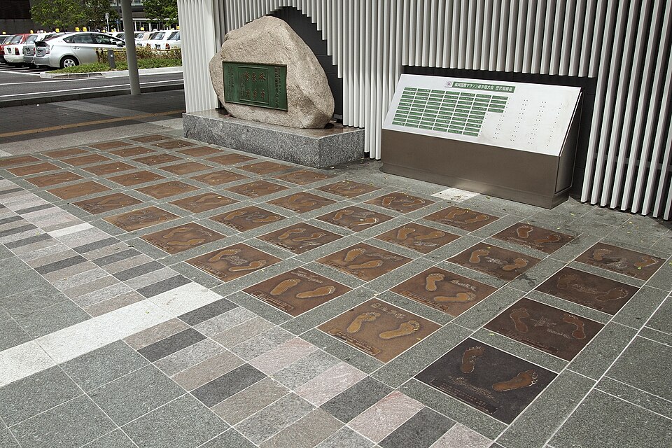 Fukuoka Marathon