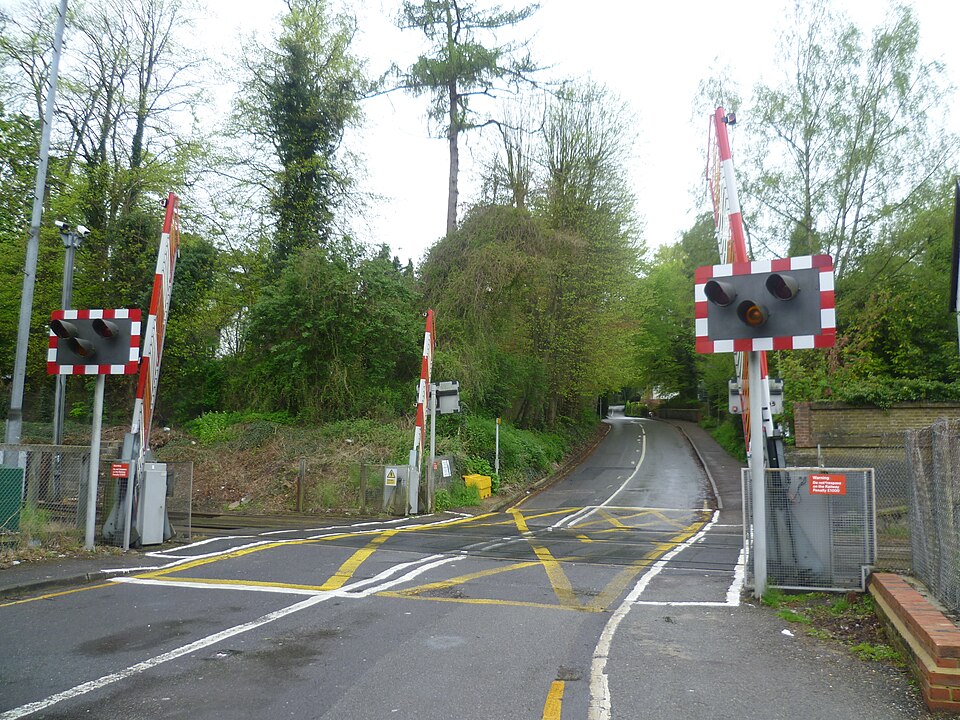 Salmon Marathon